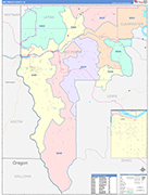 Nez Perce Wall Map Color Cast Style
